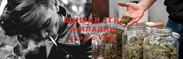 ГАЛЛЮЦИНОГЕННЫЕ ГРИБЫ Баксан