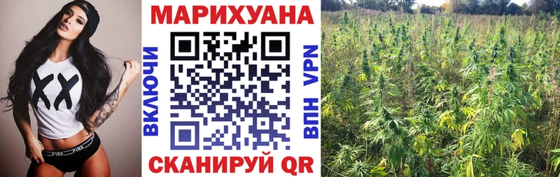 Канабис OG Kush  Закаменск 